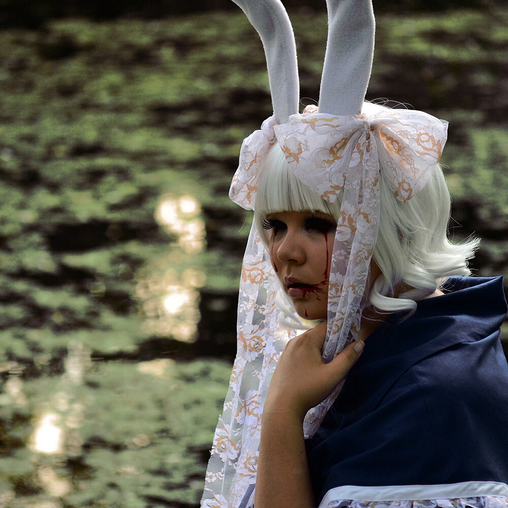 Cosplay: White Rabbit 【Gijinka】