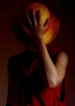 Cosplay-Cover: Luffy (Enies Lobby Version)