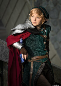 Cosplay-Cover: Link (Zelda 25th Anniversary/Eigenkreation)