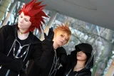 Top-3-Foto - von Hao