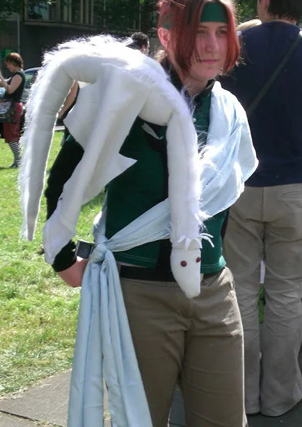 Cosplay-Cover: Cho Hakkai