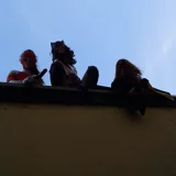 Top-3-Foto - von Rara