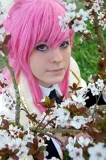 Top-3-Foto - von Eirikun