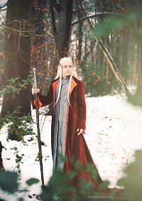 Cosplay-Cover: Thranduil