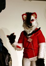 Cosplay-Cover: Meine Fursuit