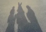 Foto des Kostüms