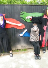 Cosplay-Cover: Sasori