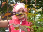 Cosplay-Cover: Sakura Haruno ~Shippuuden~