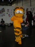 Top-3-Foto - von Callie