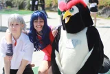 Top-3-Foto - von RaTiger