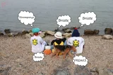 Top-3-Foto - von Miffy