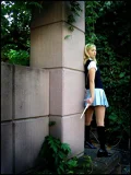 Top-3-Foto - von Miffy