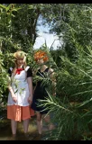 Top-3-Foto - von Sellheim