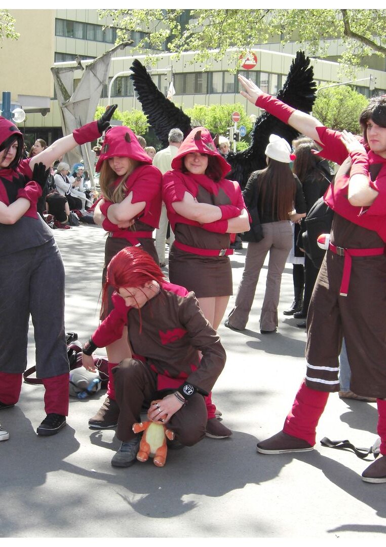 Cosplay-Cover: Team Magma