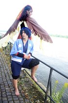 Cosplay-Cover: Falk (Arenaleiter)