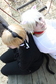 Cosplay-Cover: Gilbert Beilschmidt ♡ (Prussia) [White Cat]