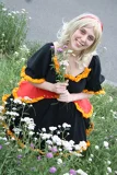 Top-3-Foto - von ghostwriter