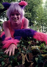 Cosplay-Cover: Cheshire Cat