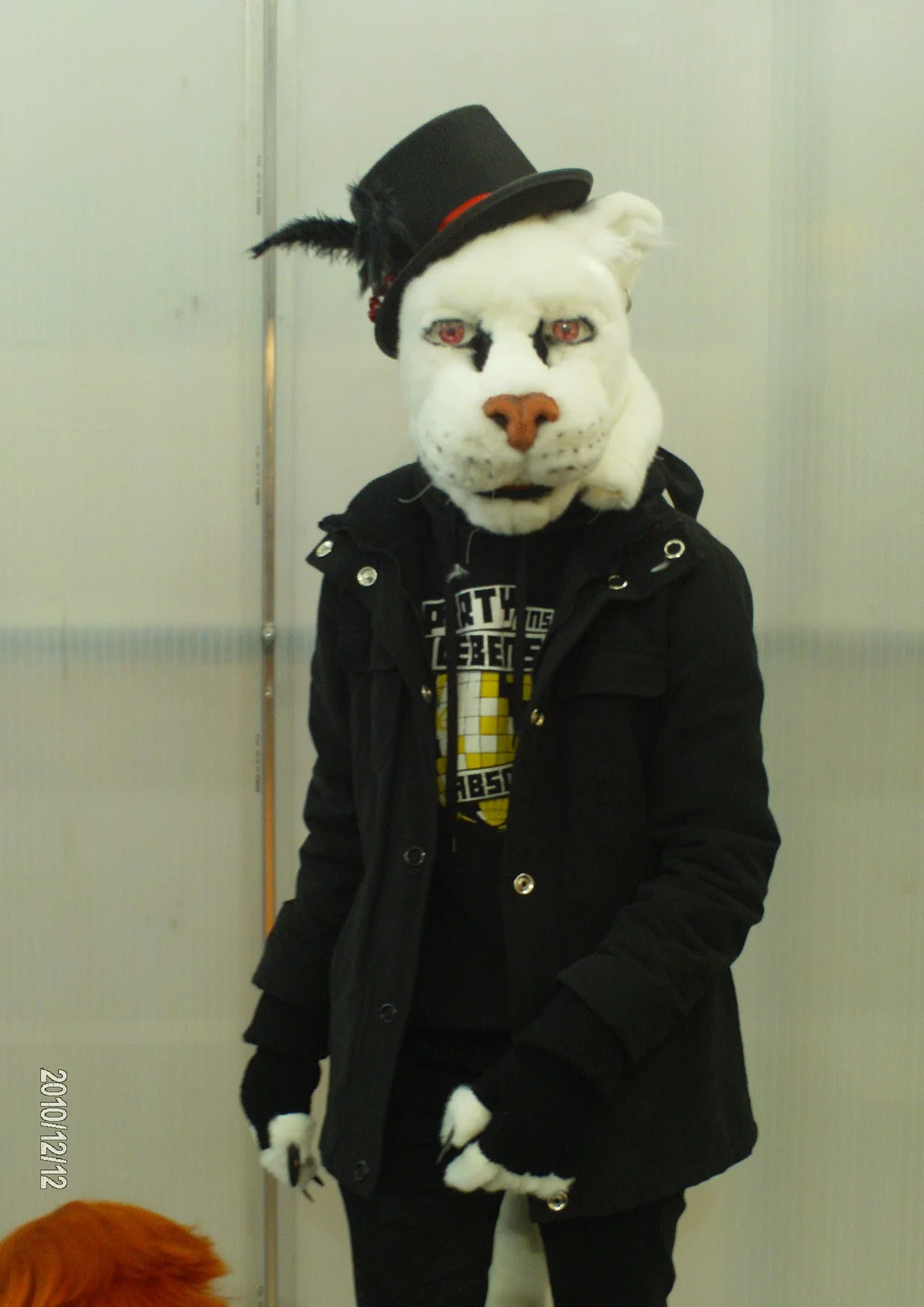Cosplay-Cover: Großkatzen-Dings