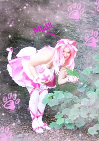 Cosplay-Cover: Kitty Nurse Momoko