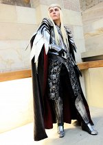 Cosplay-Cover: Thranduil (battle armour)