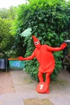 Foto des Kostüms