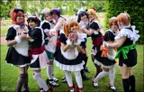 Top-3-Foto - von Britty