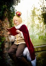 Cosplay-Cover: Liechtenstein - male (Noah Zwingli) ♚ Basic