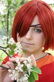 Top-3-Foto - von CyanCho