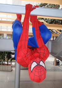 Cosplay-Cover: Spider-Man