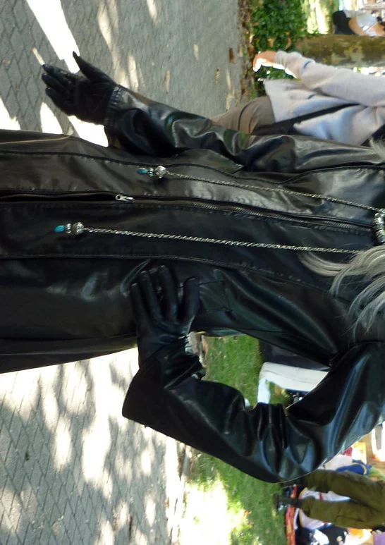 Cosplay-Cover: Xemnas