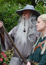 Cosplay-Cover: Gandalf der Graue