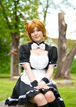 Cosplay-Cover: Liechtenstein ~Maid~