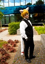 Cosplay-Cover: Heiwajima Shizuo [Neko]