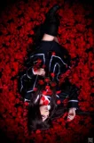 Top-3-Foto - von -A-i-k-o-