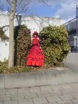 Foto des Kostüms