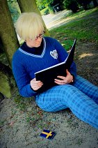 Cosplay-Cover: Berwald Oxenstierna - Schweden - Gakuen