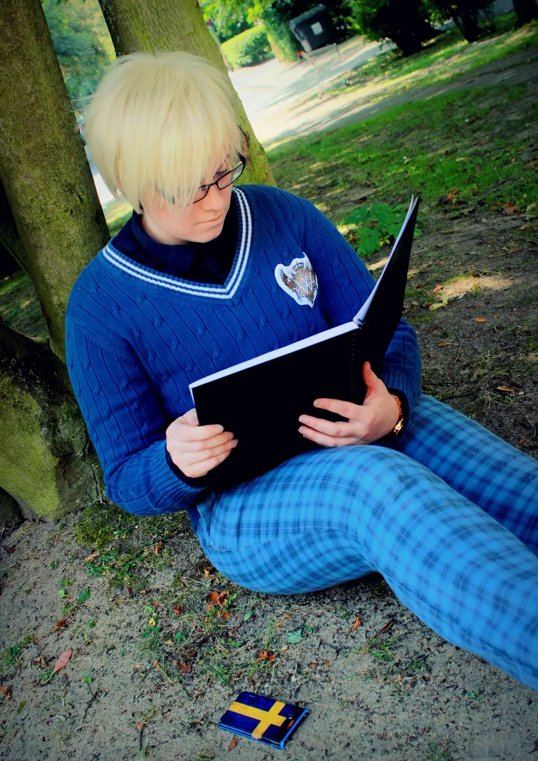 Cosplay-Cover: Berwald Oxenstierna - Schweden - Gakuen