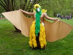 Cosplay-Cover: Lesser Bird of Paradise