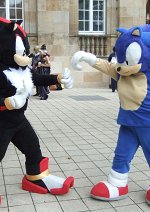 Cosplay-Cover: Sonic