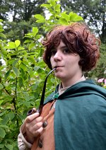 Cosplay-Cover: Frodo Beutlin