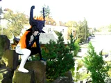 Top-3-Foto - von KittyGrey