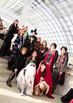 Cosplay-Cover: Slytherin Schüler