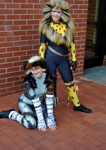 Cosplay-Cover: Rum Tum Tugger