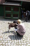 Foto des Kostüms