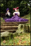 Top-3-Foto - von Mink