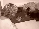 Foto des Kostüms