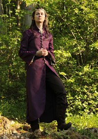 Cosplay-Cover: Lord Elrond