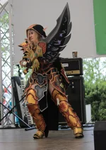 Cosplay-Cover: Blutelf Paladin