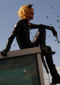Cosplay-Cover: Chat Noir